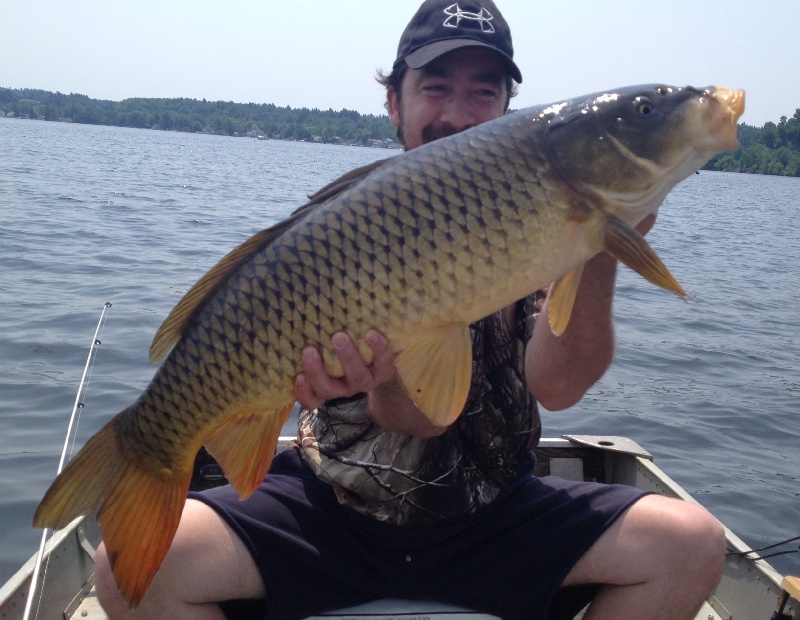 Saratoga lake Carp Photo Details - CT Fish Finder