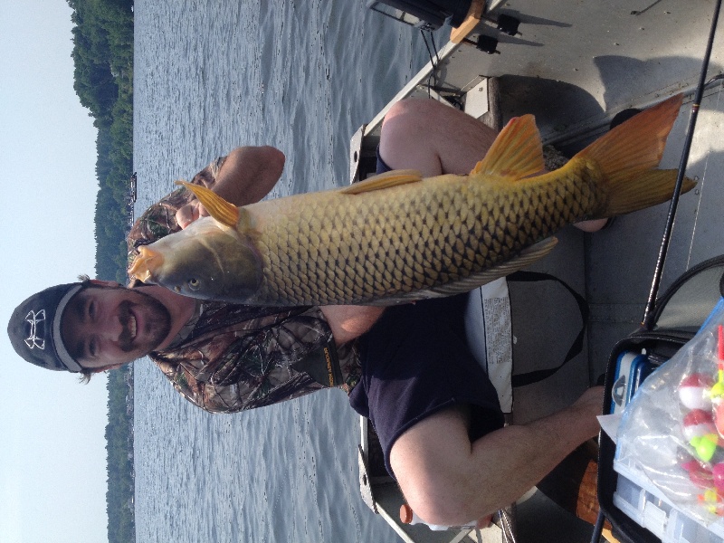 Saratoga Lake Carp