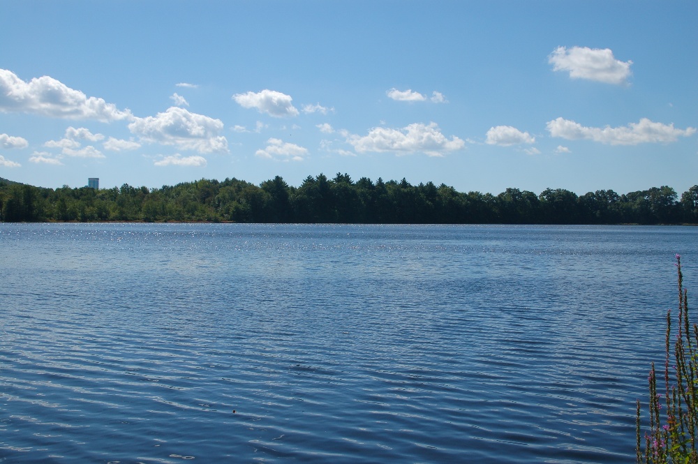 S from avery pond boat ramp