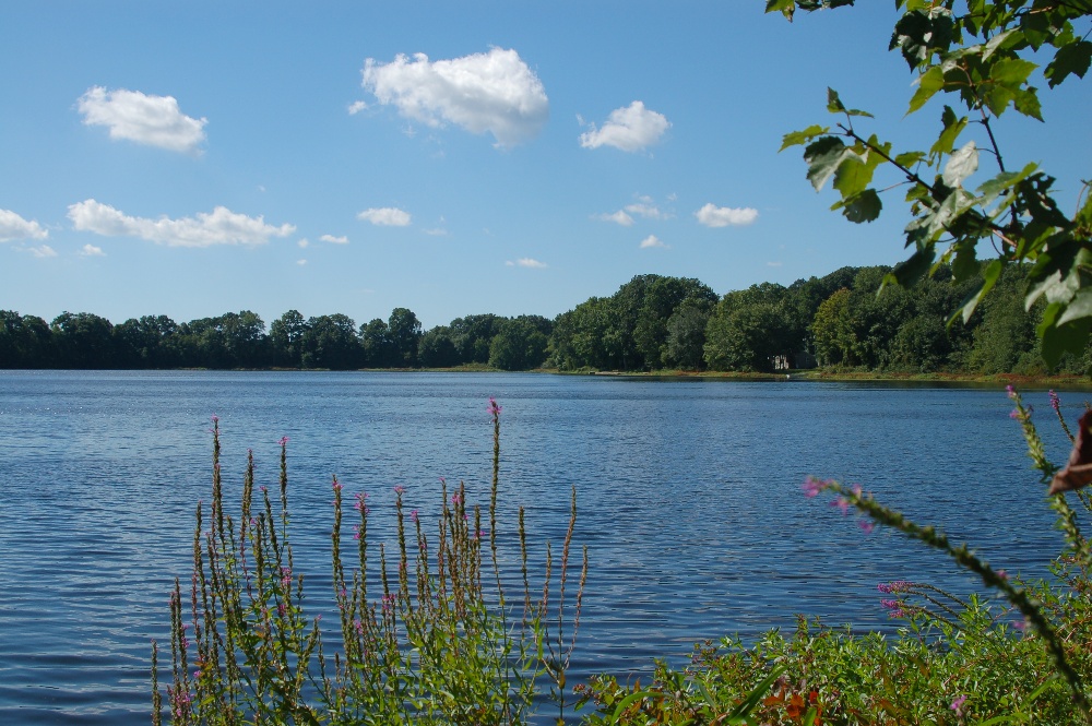 SW from avery pond boat ramp