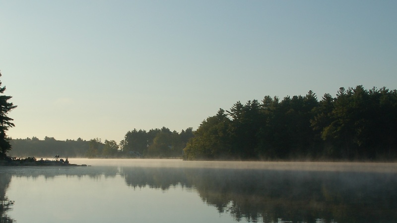 misty morning @ pachaug pond
