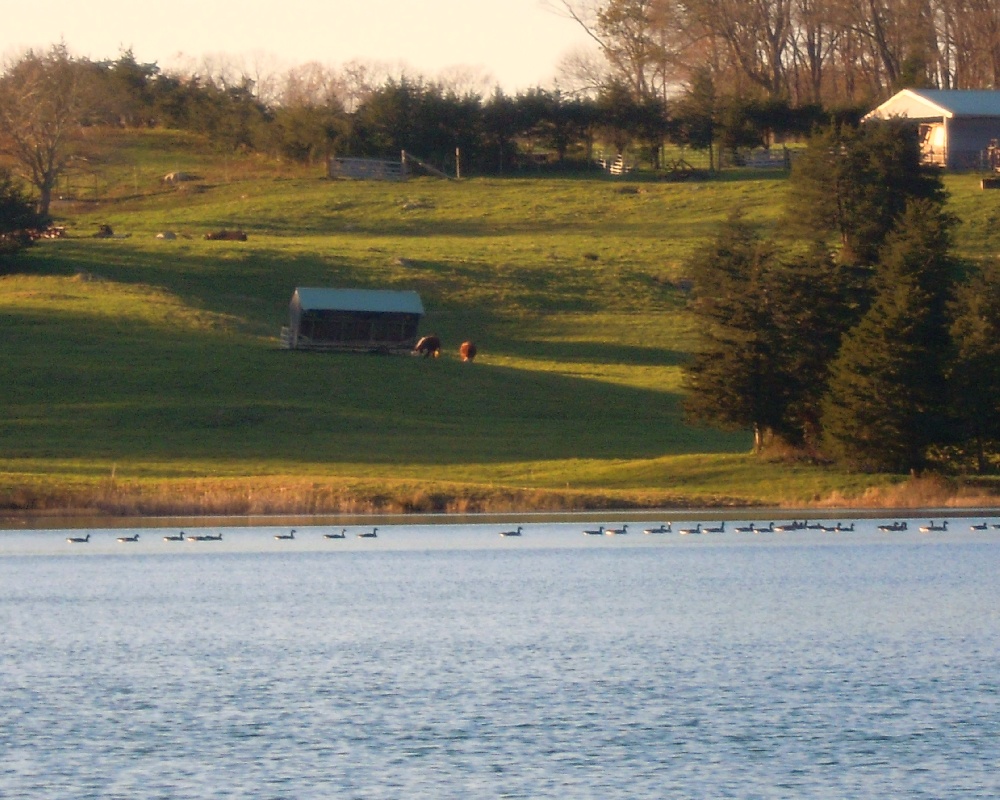 Gager Pond Farm zoomed near South Windham
