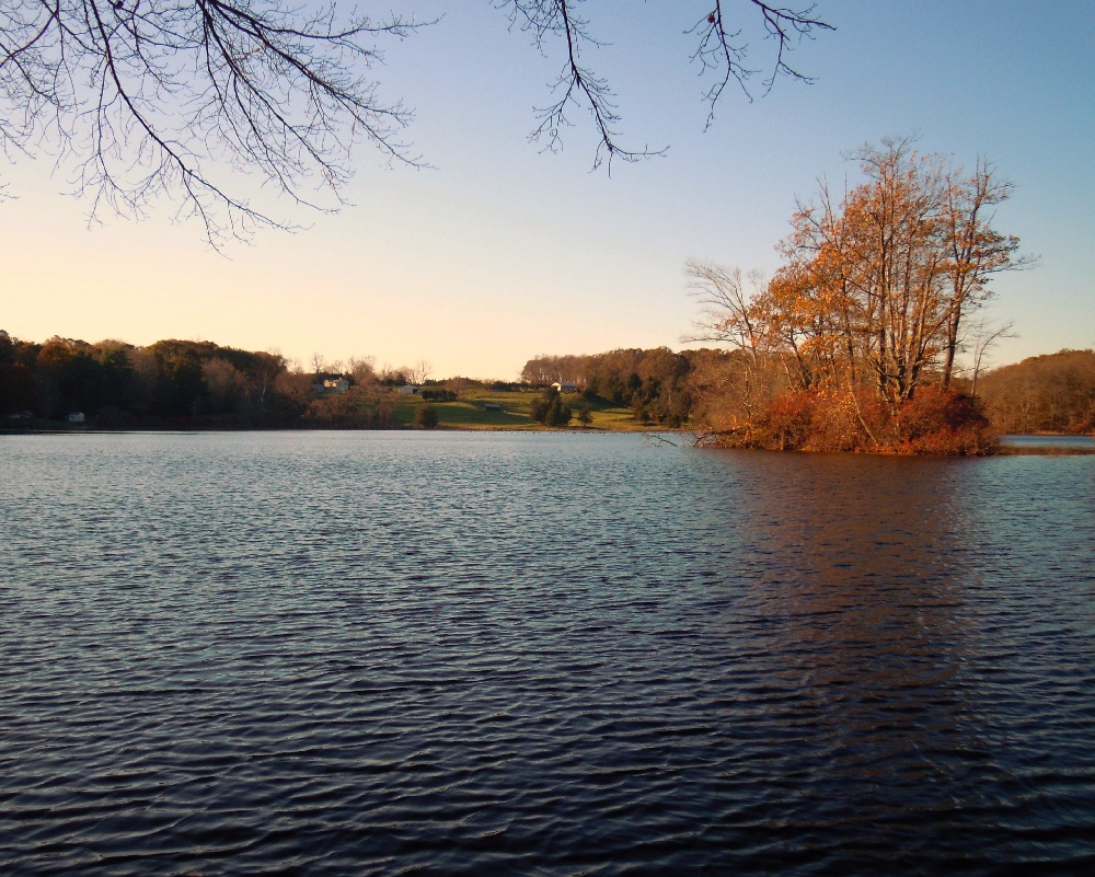 Gager Pond Farm wide near South Windham