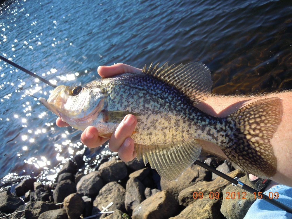 Norwich fishing photo 5