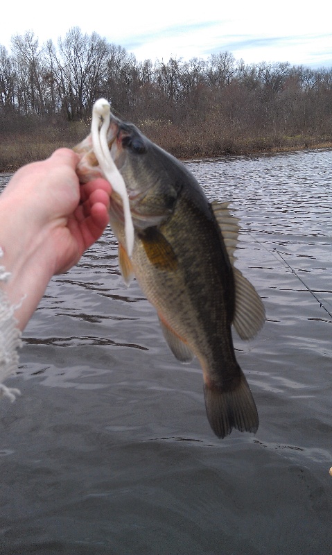 Simsbury fishing photo 3