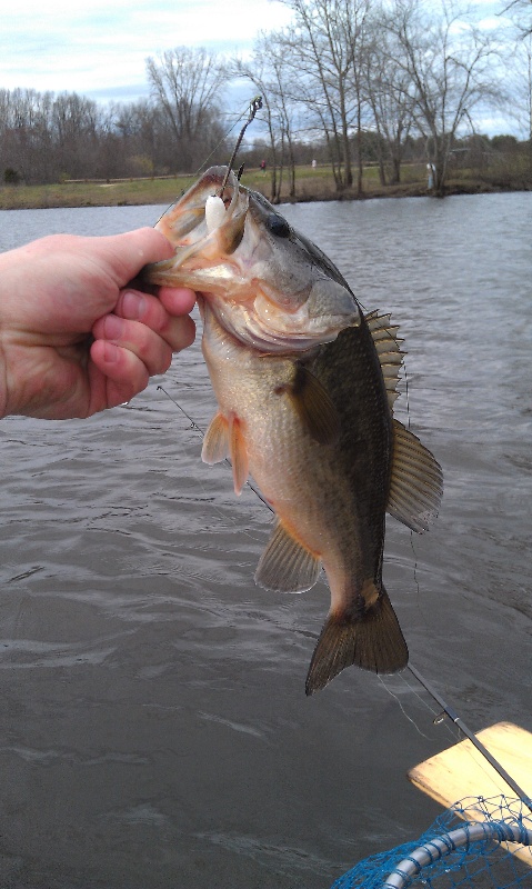 Simsbury fishing photo 2