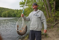 Connecticut River Carp