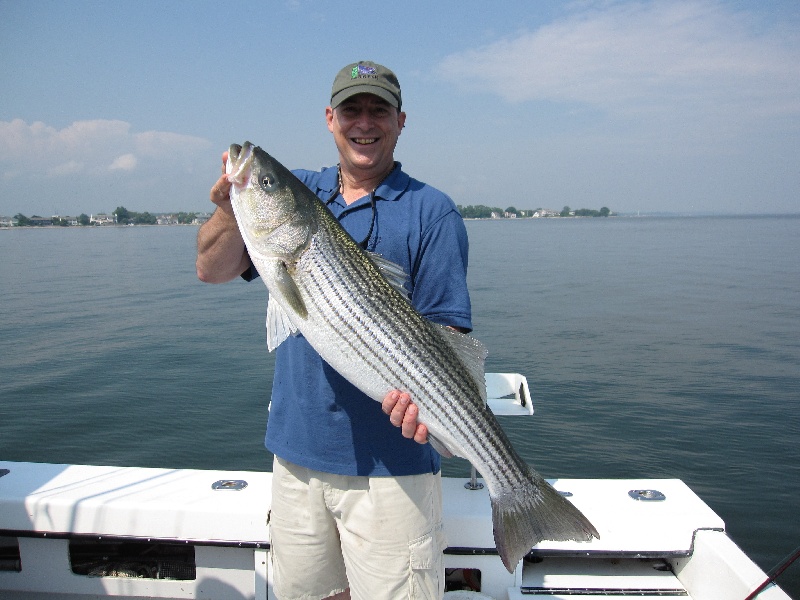 A Norwalk Island Striper