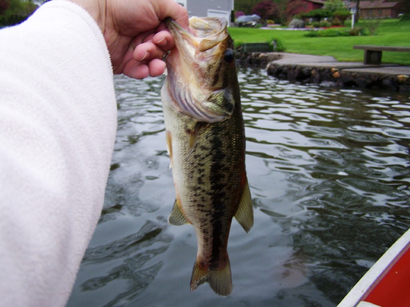 Mornin' Largie  near Burlington