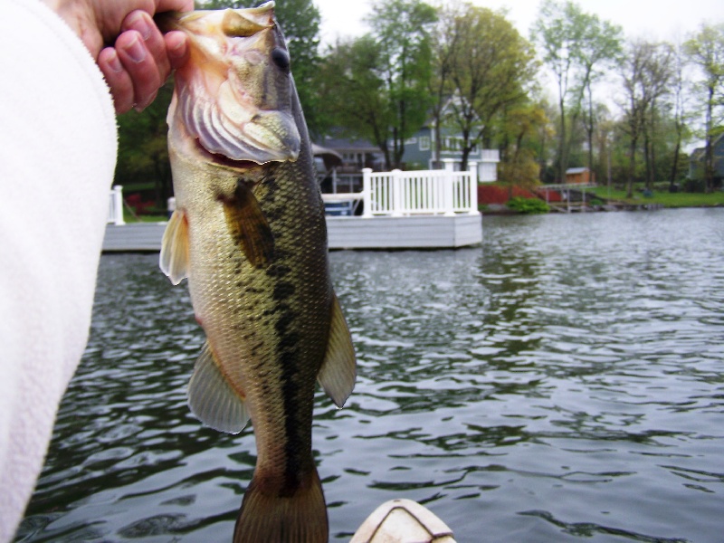 Last good largie near Plainville