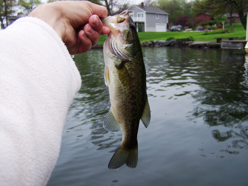 Little guy near Bristol