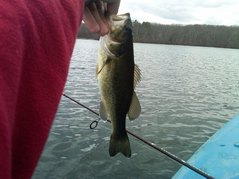 Saybrook Manor fishing photo 1