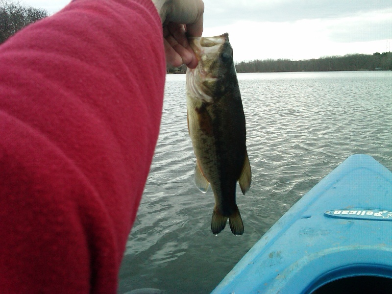 Saybrook Manor fishing photo 2