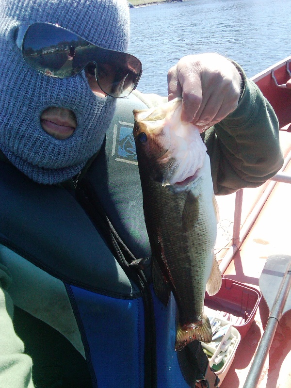 Saybrook Manor fishing photo 0