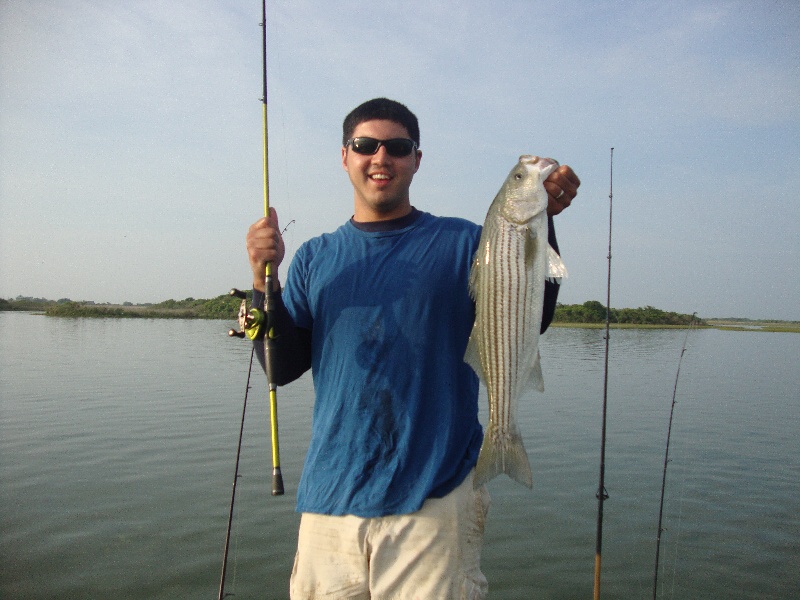 RI Striper