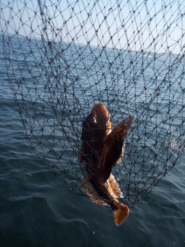 Fishing the block on Aug. 15,