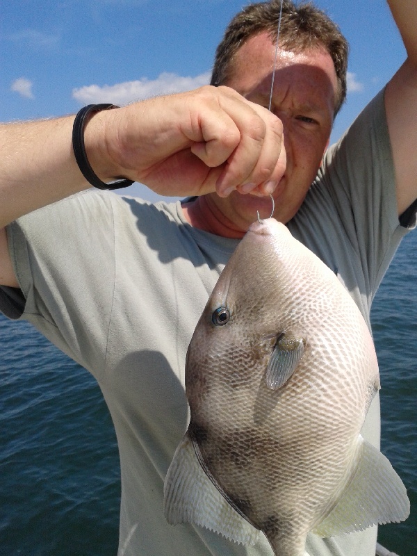 2 pound triggerfish