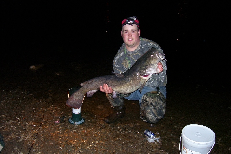 Allegheny River Cat