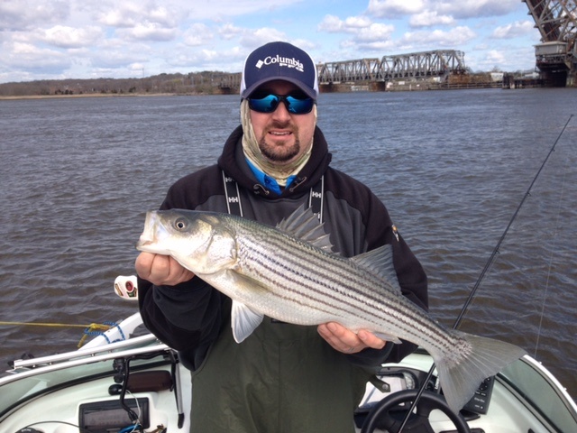 Old Saybrook Stripers 