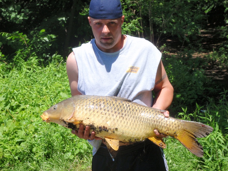 16lb Carp near Sherwood Manor