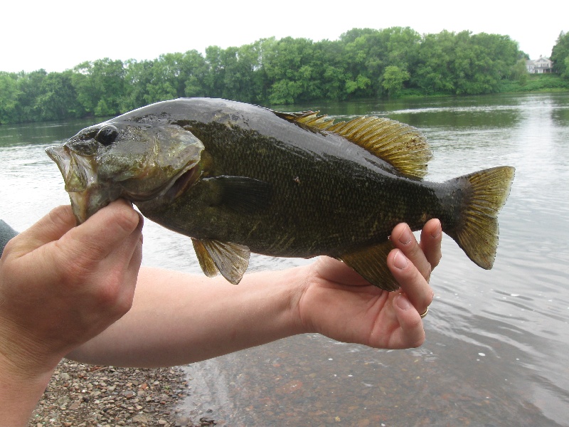 river smallie near Suffield Depot