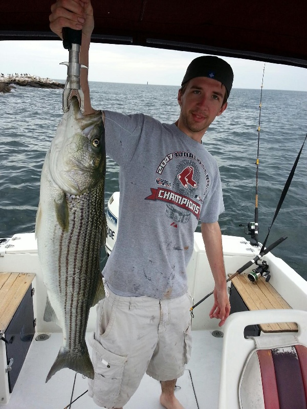 Striper