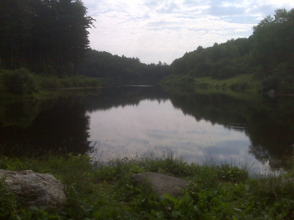 Black Rock Lake(branch Brook) Fishing - CT Fish Finder