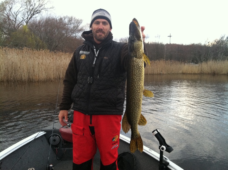Pike