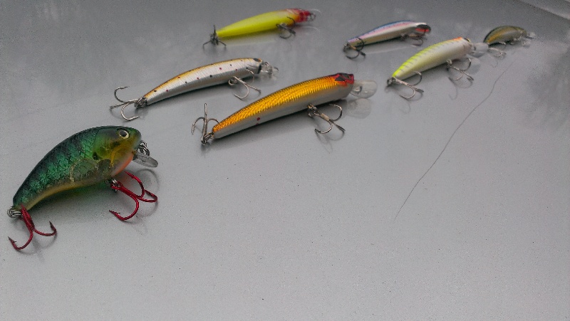 Fishing Lure