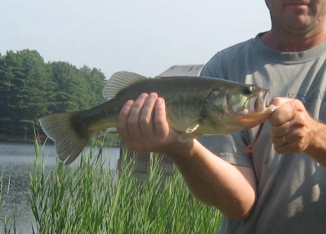 Maltby Lake