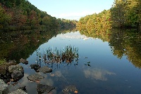 Willimantic River