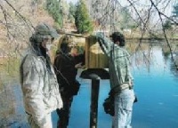 Stearns Pond