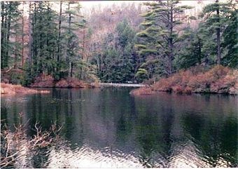 Breakneck Pond