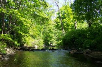 Naugatuck River