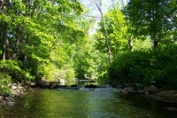 Naugatuck River (beacon Falls)