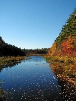 Pachaug River