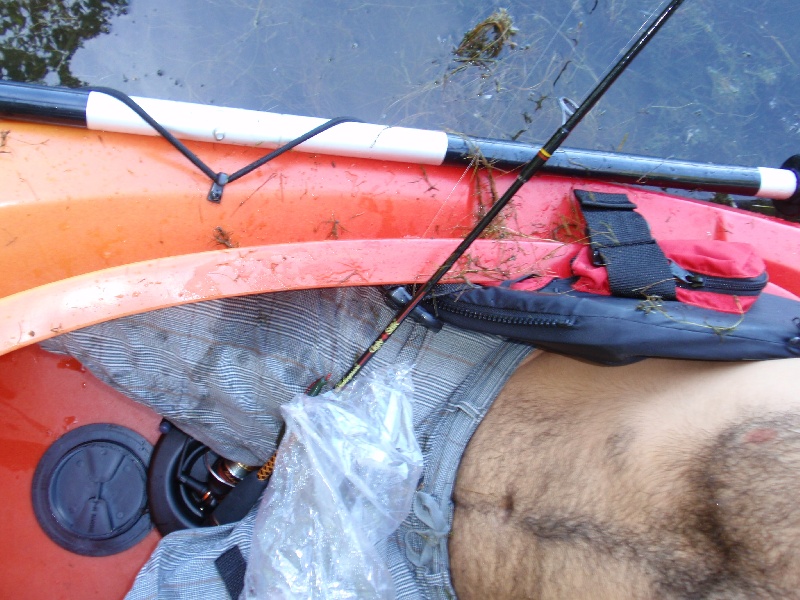 Messy Boat near Farmington