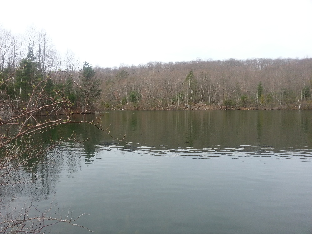 Danbury fishing photo 5