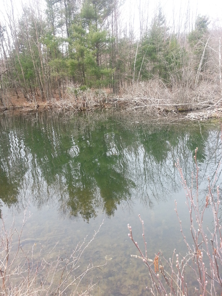 Danbury fishing photo 4