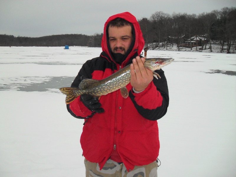 Northern Pike